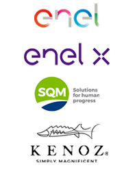 enelx